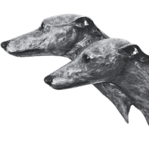 kennel Sea Leopards